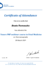 Neurosonography. FMF webinar course in Fetal Medicine.  The Fetal Medicine Foundation.
